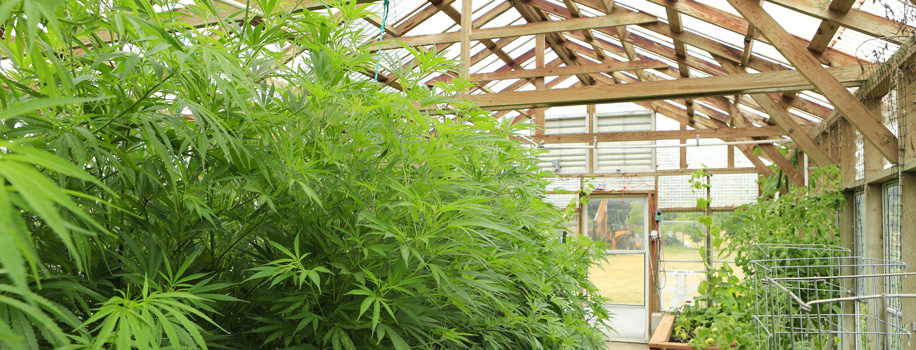 Security Solutions for Apartments in Columbus, OH